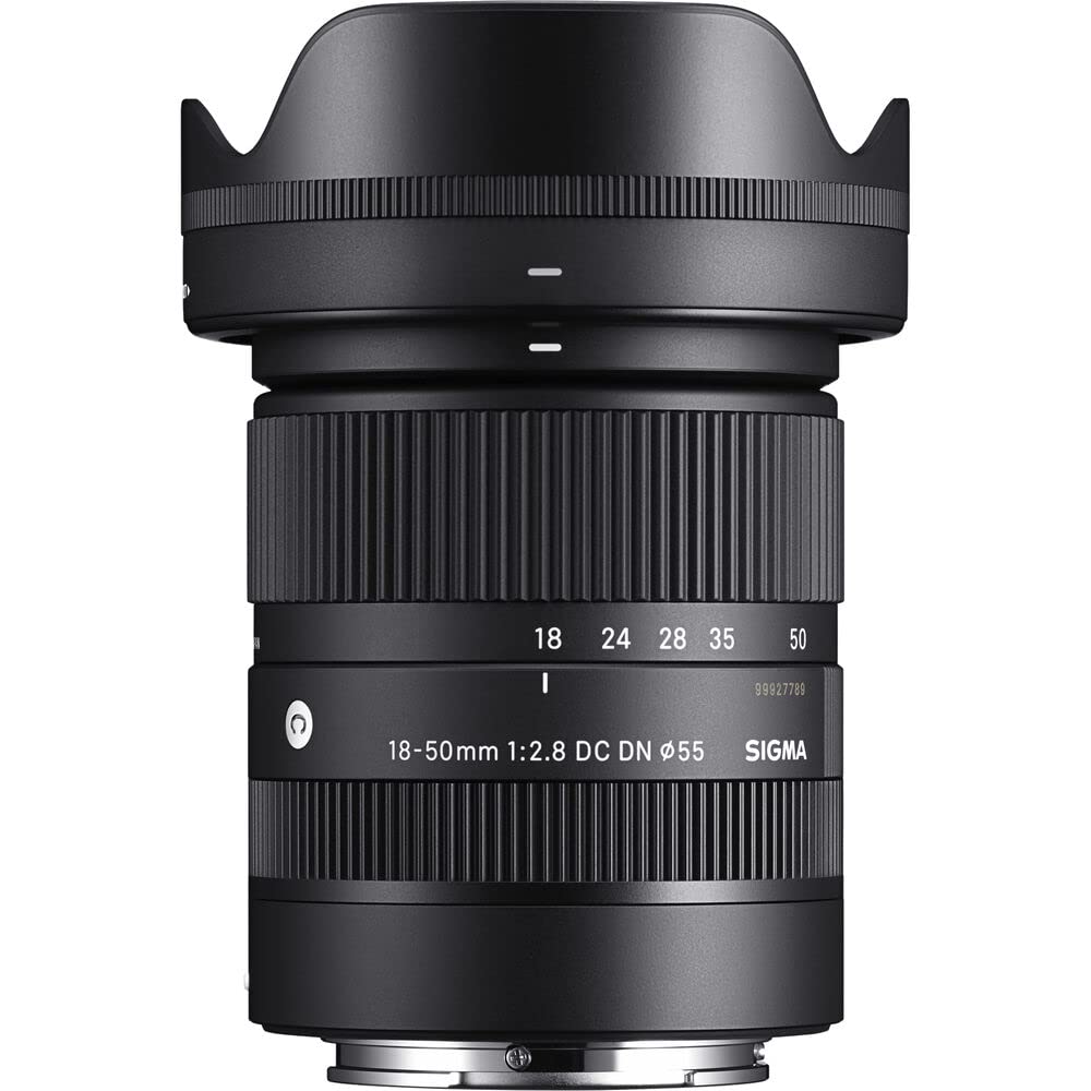 Sigma 18-50mm f/2.8