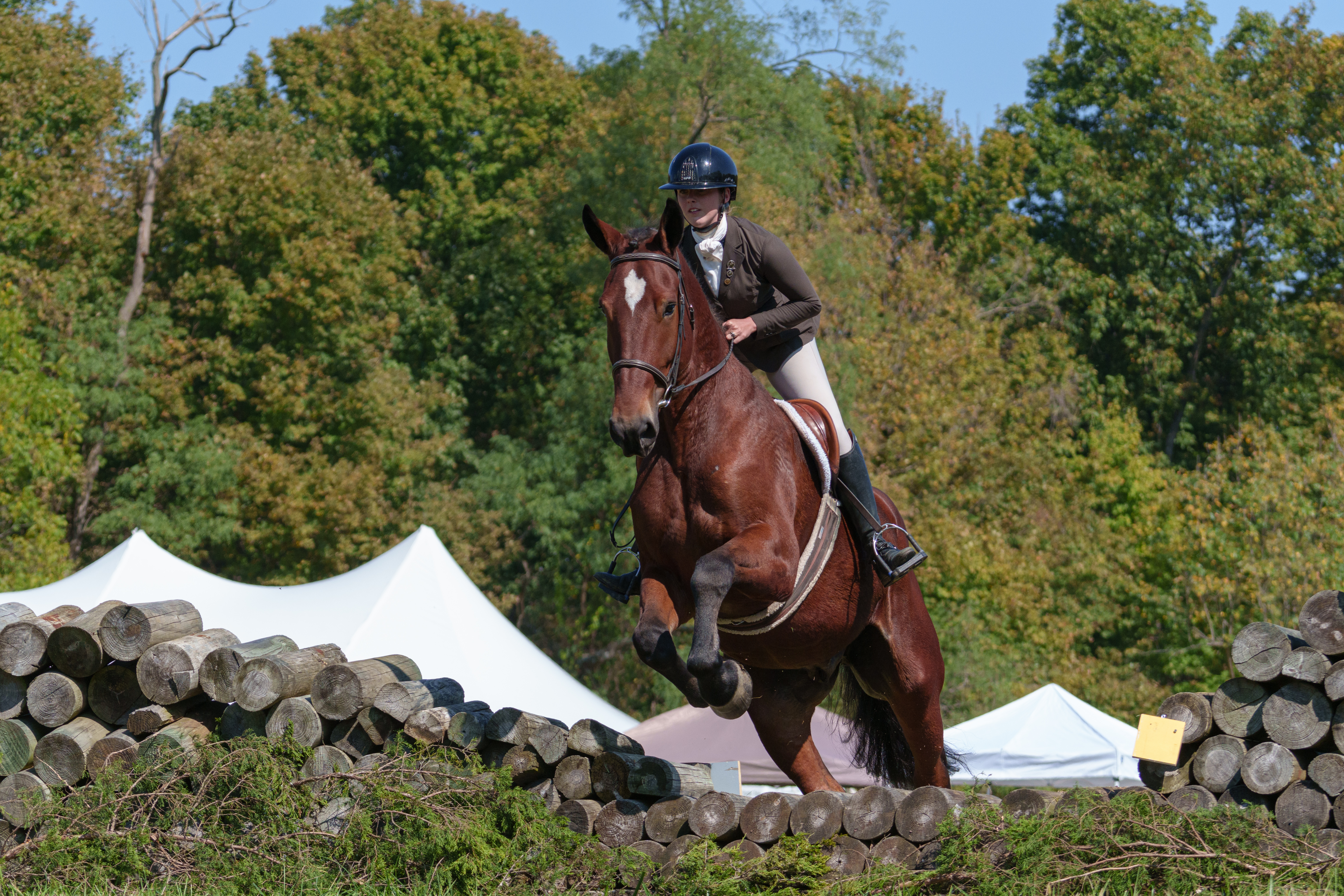 Event - Horse