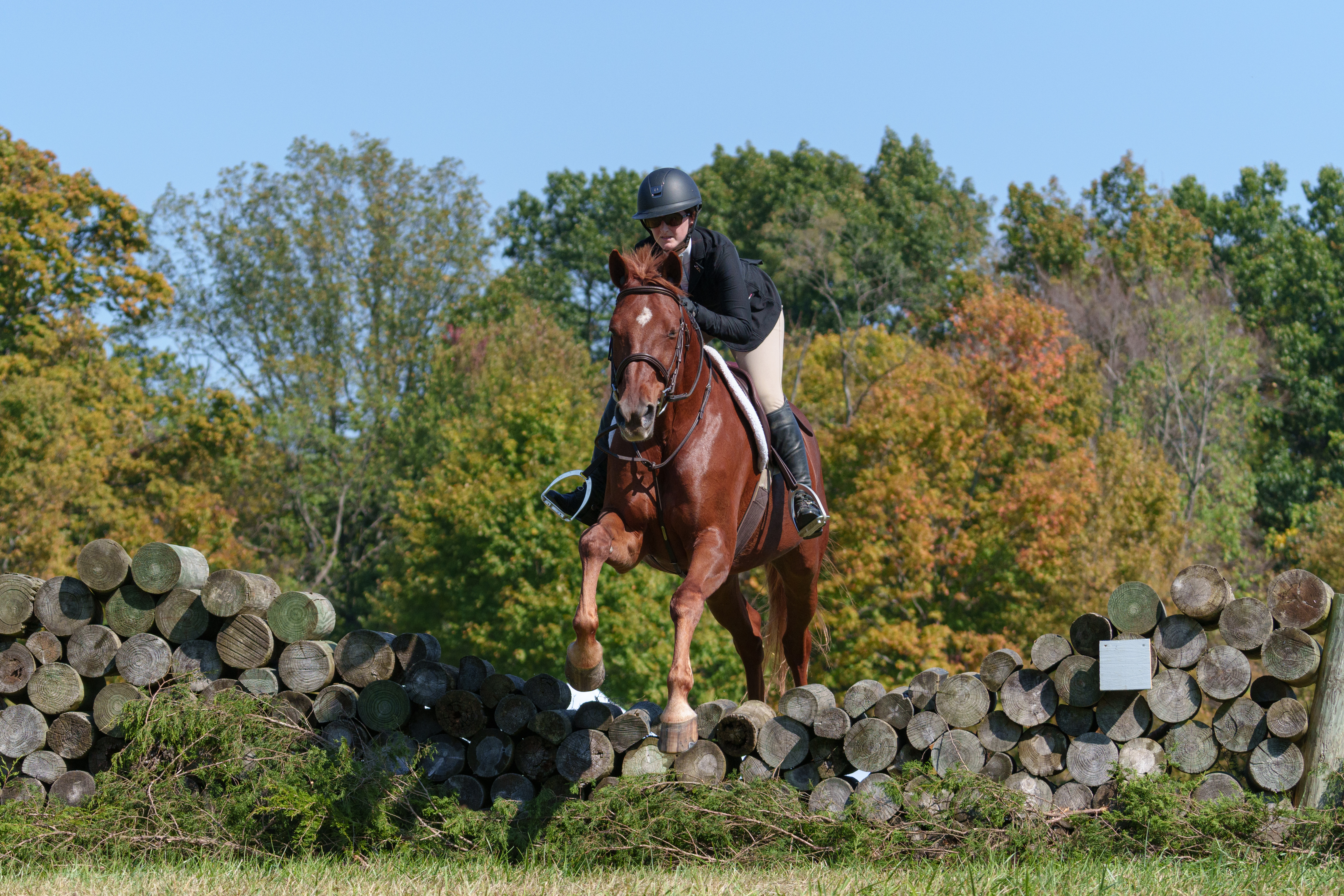 Event - Horse 2