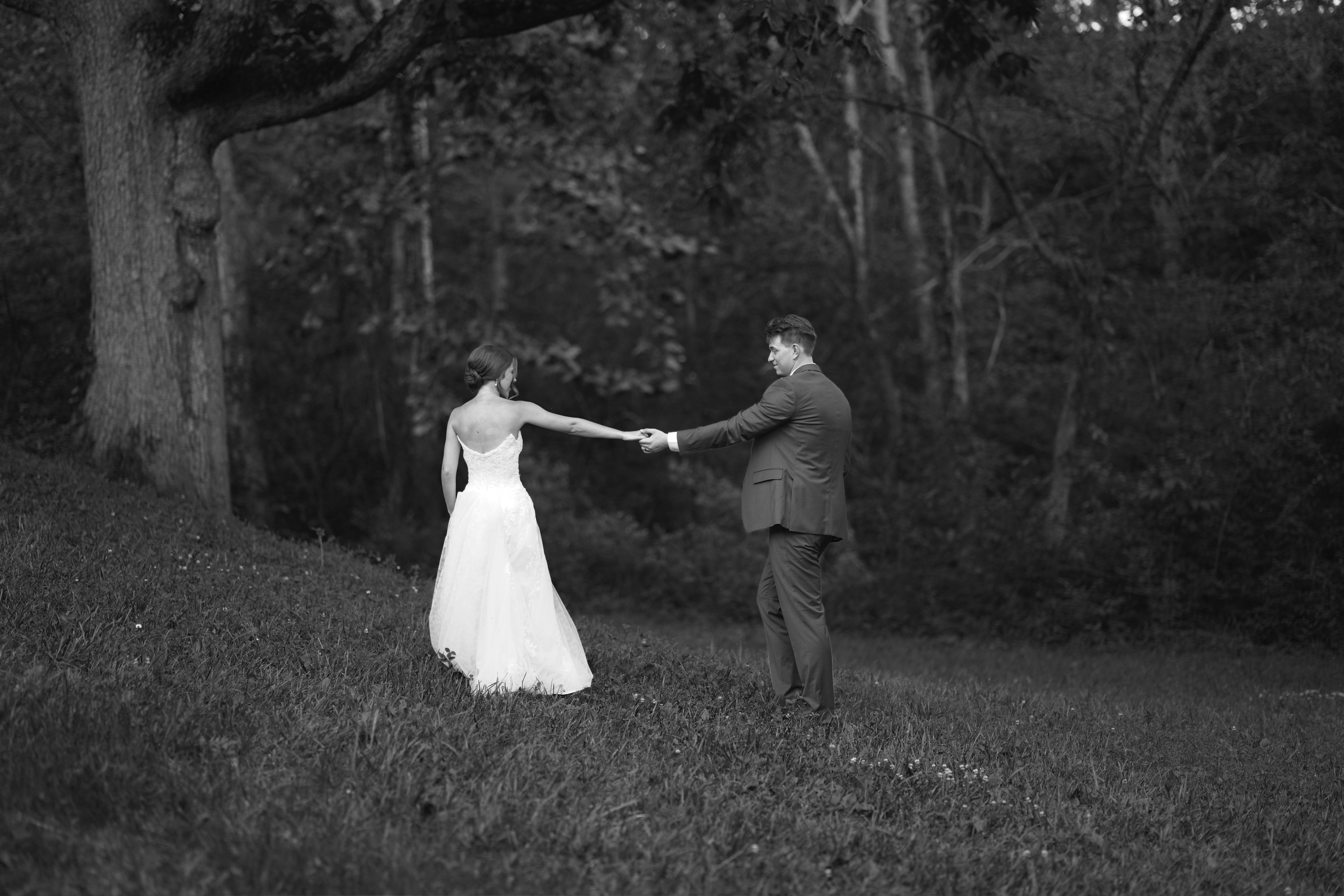 Wedding - Fox 1